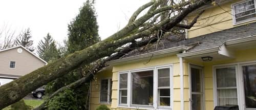 Property Damage