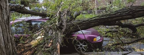 Protection Against Theft & Natural Disasters